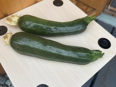 courgettes potential kids courgettes grown by Potential Kids